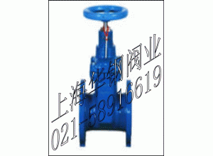 FDZ45X-16加密防盗软密封闸阀