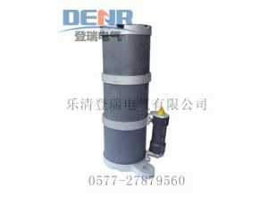 供RXQ-35D一次消谐器,RXQ-20D一次消谐器优惠促销